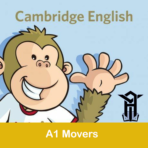 A1 Movers